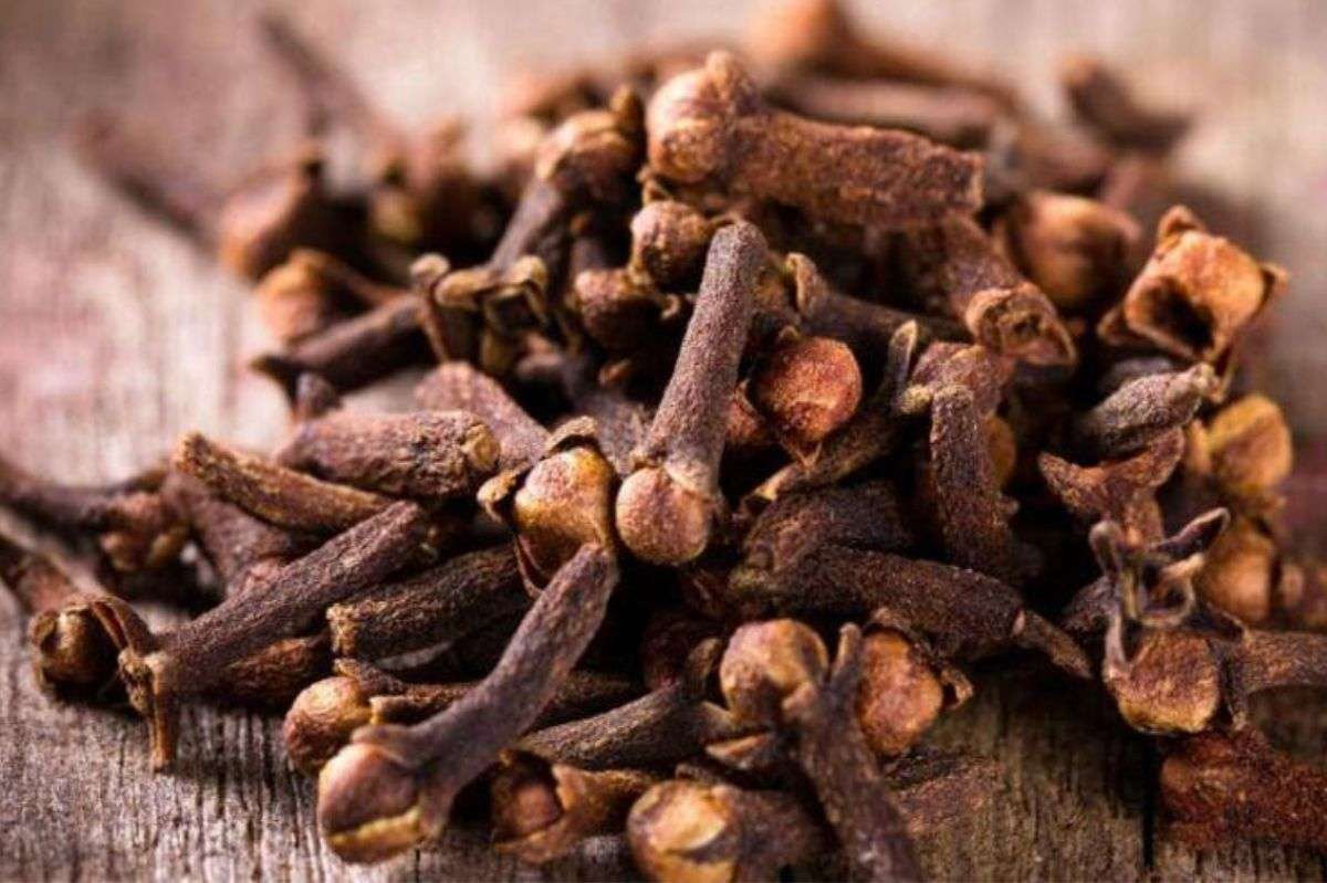 Las  Mejores Hierbas Aromáticas y Especias Usadas en la Cocina Italiana y Sus Beneficios